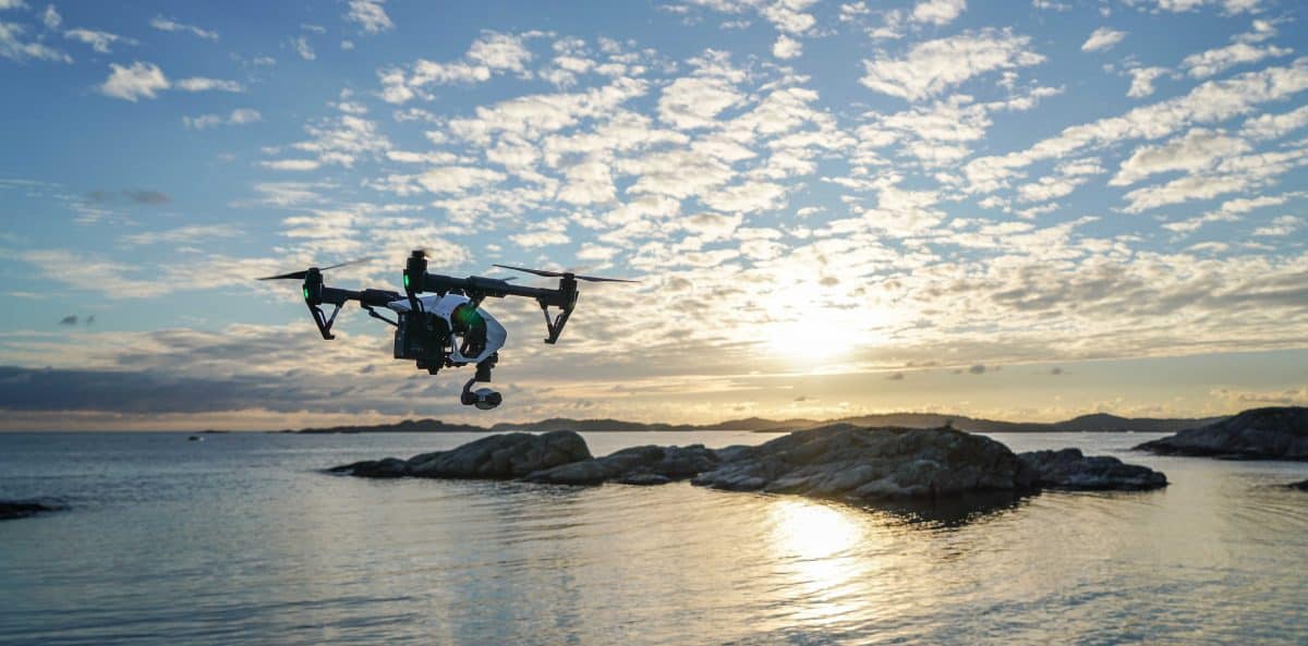 How Drones Are Helping Marine Biologists - Dronegenuity